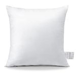 OTOSTAR Throw Pillow Insert, 16x16 Square Cushion Inner Soft Fluffy Plump Stuffer Cushion Pad White Decorative Pillow Insert