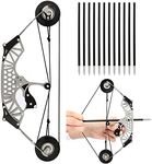 Archery Mini Compound Bow and Arrow Set Mini Pocket Bow Survival Bow Right Left Hand for Target Shooting Practice (8.6" with 12 arrow)