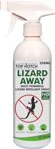 Lizard Spr