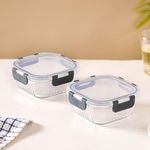 Nestasia Lunch Box Set Of 2 | Borosilicate Glass, Microwave Safe & Leak Proof, Freezer-Safe With Bpa-Free Safety Lock Airtight Lids For Office (500 Ml), Transparent & Grey