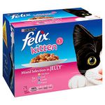 Felix Kitten Up To 1 Year Selection In Jelly 12X100