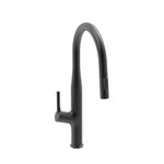 Carysil ALA 1512 Brass Kitchen Faucet with Pull Out spout Sprayer and Single Handle Pull Down Kitchen Sink Faucet Matt Black