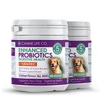 Canine Life Co. Probiotics For Dogs | High Strength 5 Billion CFU* | 10 Strains Of Good Bacteria | Allergy & Digestive Relief For Dogs | 200g Powder Made In UK (2 Pots (200g))