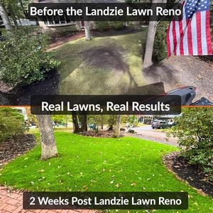 Landzie Weed Puller Tool – Manual Garden Weeder for Lawn Care