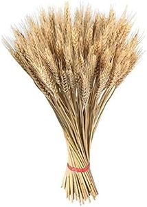 100 Stems 