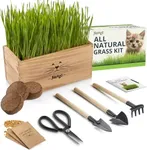 Organic Cat Grass for Indoor Cats - 4X Seed Packets | Pet Cat Grass Kit for Growing Wheat Grass w Planting Seeds, Tools & Planter