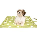 Pet Set Go Paws and Bones Heavens Poly Canvas Printed Rectangle Pet Mat Mattress | Washable Padded Pet Mat| Light Weighted Dog Flat Mat for Medium Size Dogs & Cats