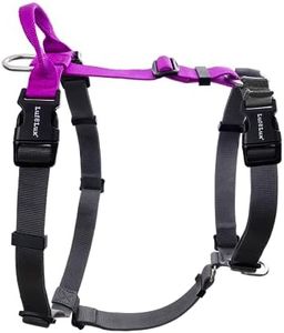 LufeLux Easy Walk Freedom No Pull Dog Harness Medium Sized, Neck-Buckle, Six Points Adjustment for Ultimate Fit, Two Aluminum D-Rings for Back and Front Clip, Easy Put On/Off(Purple/Black, M)