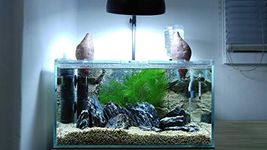 Parko Home Decoration Turtle Aquarium Tank Beautiful Fashion Clear Glass Mini Fish Tank Aqua Habitat Aquarium Tank Only (Colour May Vary, Rust Resistant, Pack of 1)