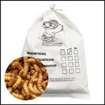 Livefoods4u Live Mealworm 500g Bulk Bag (20-30mm) - Live Food for Reptiles & Garden Birds