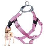 2 Hounds Design Freedom No Pull Dog Harness | Adjustable Gentle Comfortable Control for Easy Dog Walking | for Small Medium and Large Dogs | Made in USA | Leash Not Included | 1" LG Rose