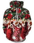 Imbry Mens Funny 3D Printed Hoodie Ugly Christmas Sweater Pullover Sweatshirt (S/M, Balls&Tree)