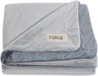 Friends Forever Durable Dog Blanket for Couch Protection | Two Tone Reversible Pet Hair Resistant Blanket for Dogs Cats Bed Kennel Crate Car Seat - Soft Velvet, Warm Fleece (Medium 35" x 44")