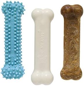 Nylabone P