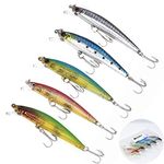 WANBY Fishing Lures Proven Explosive Color Special Minnow Swimbait Vibrating Jigging Freshwater Saltwater Fishing Lures with Hook Fishing Tackle for Trout Bass Salmon (Minnow)