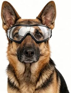 NAMSAN Dog Sunglasses Medium to Large Dog UV Transparent Goggles Windproof Anti-Dust Snowproof Pet Glasses with Elastic Straps, Clear