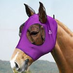 Fly Mask Horse