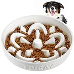 Tivray Ceramic Slow Feeder Dog Bowl