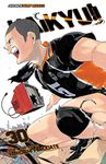 Haikyu, Vol. 30: Broken Heart: Volume 30