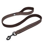 TRUE LOVE Dog Leash Puppy Walking Lead Pet Chain Padded Reflective Night Safe Rope Length 110cm TLL2111 (Large, Brown)