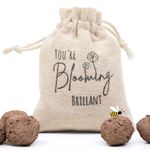 Handmade HERB Seed Bombs to Attract Bees & Butterflies 70g. Grow a HERB Patch, Gifts for her Gifts for him Gardening Gift