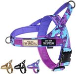 Annchwool No Pull Dog Harness with Soft Padded Handle,Escape Proof and Quick Fit to Adjust Dog Harness,Easy for Training Walking for Small & Medium and Large Dog(Camo Purple,XL)