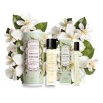 Panier des Sens - Roll-on + Eau de Toilette Pack for Women - Jasmine - Woman Body & Hair Perfume - Floral Fragrance - Perfume Made in France - 50ml + 10ml