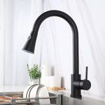 Kitchen Faucet With Brass Sprayers