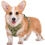 BARKBAY No Pull Dog Harness Large Step in Reflective Dog Harness with Front Clip and Easy Control Handle for Walking Training Running with ID tag Pocket(Camo,M)