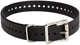 SportDOG Brand 1" Collar.