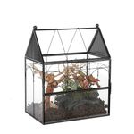 NCYP Glass Enclosure with Vent Holes for Insect, Spiders, Snails - 19 x 12.5 x 23 cm Small Closed Front Opening Door Succulent Terarium - House Shape Habitat, Home Decor Black (No Plants)