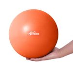 Fresion 25cm Soft Pilates Ball - Exercise Ball, Mini Barre Ball, Gym Ball - Perfect for Yoga, Pilates, Core Training, Physical Therapy and Balance