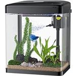 2 Gallon Fish Tank, Glass Aquarium 