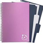 Pink Daily Planner 2.0 - Daily Plan