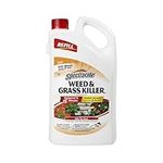 Spectracide Weed and Grass Killer 1