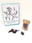 Emerald Isle Seaweed Organic Flakes Granules Herbs, Dulse, Salt Replacement, Flavour Enhancer (Dulse Flakes 40g)