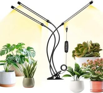 Plant Grow