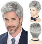 DDHAIR Men's Wig Short Silver Grey Wig Men Natural Layered Synthetic Hair Wigs for Man Male Guy Daily Halloween