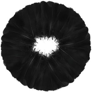 MWOOT 600 Piezas Plumas Negras, Plumas Artesanales para Atrapasueños Bricolaje, Disfraz Halloween, Pendiente Hecho Mano, Fiesta Bodas, Decoración Actividades Hogar Pascua, Pluma Natural 8-12CM