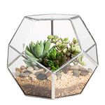 NCYP Glass Terrarium, Pentagon Ball Shape Geometric Terrarium Planter Pot for Display Succulent, Air Plants - Garden Tabletop Window Sill Balcony Decor, Silver (No Plants Included)