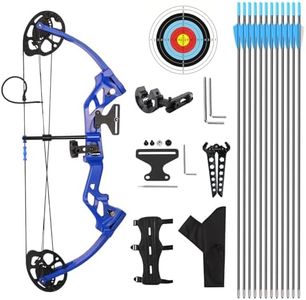 AKCHOER A208 Compound Bow and Arrow Set, 16-20 Lbs Draw Weight, Right Handed Bow for Kids Archery Beginner, Target Bow with Accessories for Teens Outdoor Sports Game Shooting Training (Blue)