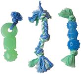 Outward Hound Mini Dentachew Dental