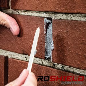 Roshield Rodent Proofing Paste, 2-Pack – Pest Barrier Solution
