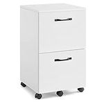 VASAGLE 2-Drawer Filing Cabinet, Mobile File Cabinet for Home Office, Small Rolling Filing Cabinet, Printer Stand, for A4, Letter-Size Files, Hanging File Folders, White OFC040W46