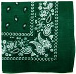 Kaiser Novelty Bandanas Paisley Cotton Bandanas (Hunter Green 22 X 22 in)