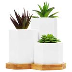 BELLE VOUS 3 Pack White Ceramic Succulent Plant Pots with Bamboo Tray - Small, Medium and Large Cactus & Flower Planter Pot Set with Drainage Holes - For Office, Desk, Indoor Table & Outdoor Garden