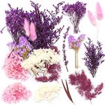 iDattel Natural Dried Flowers, Dry flowers Mixed, DIY Natural Dried Flower Set for Arts Crafts DIY Resin Scrapbooking Craft Card Making (White Purple)