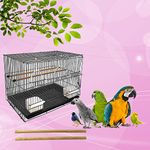 JAINSONS PET PRODUCTS 24 Inch Bird Iron Cage Best For Lovebird/Pet,Parrot,Parakeet,Budgie,Cockatiel Hammock Large (Size:23.5" Long,16.5" Wide & 16" Height) (2 Perch Free)Color May Vary