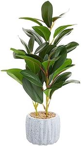 Juvale Small Artificial Ficus Plant Potted in Small Gray Cement Planter for Home Decor (11.8 in)