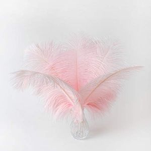24pcs Natu